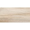 Artwood WT36AOD08 Плитка настенная 300*600*9 