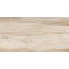 Artwood WT36AOD08 Плитка настенная 300*600*9 