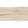 Artwood WT36AOD08 Плитка настенная 300*600*9 