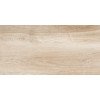 Artwood WT36AOD08 Плитка настенная 300*600*9 