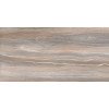 Esprit Wood WT9ESR21 Плитка настенная 250*500*9  