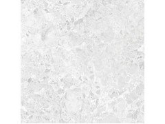 Brecia Adonis Grey Керамогранит светло-серый 60x60 полированный