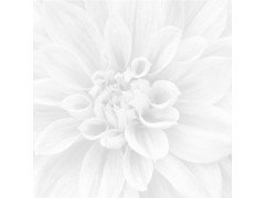 Crisantemo Панно из 3-х шт 36-05-00-463-0 60х60