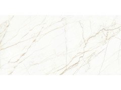 Europa Gold Керамогранит 60x120 Карвинг